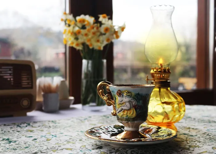 Hotel Karamazov Antik Ağva