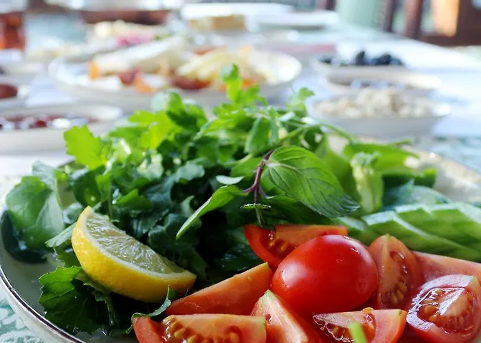 Karamazov Antik מלון Ağva